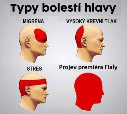 Bolest hlavy